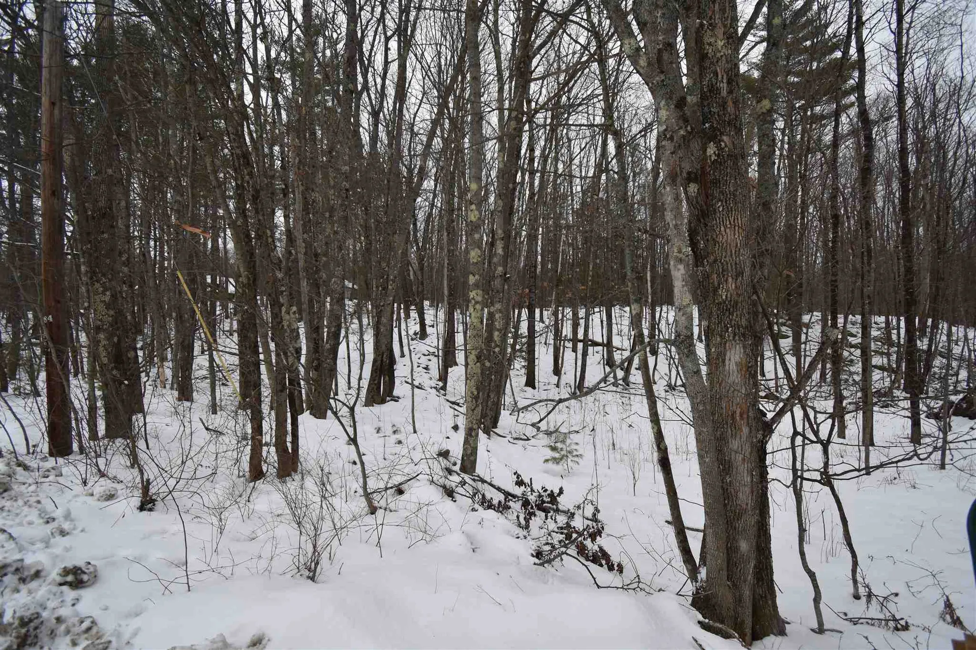 00 Bear Pond Road Canaan NH 03741