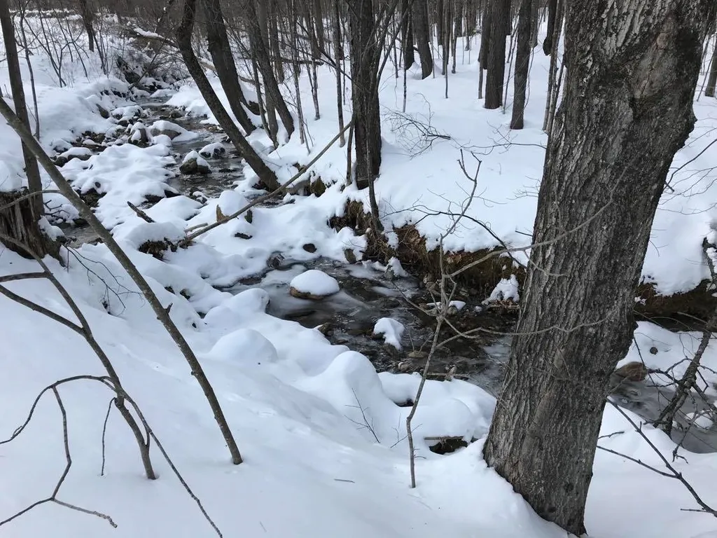 3332 Houghtonville Road Grafton VT 05146