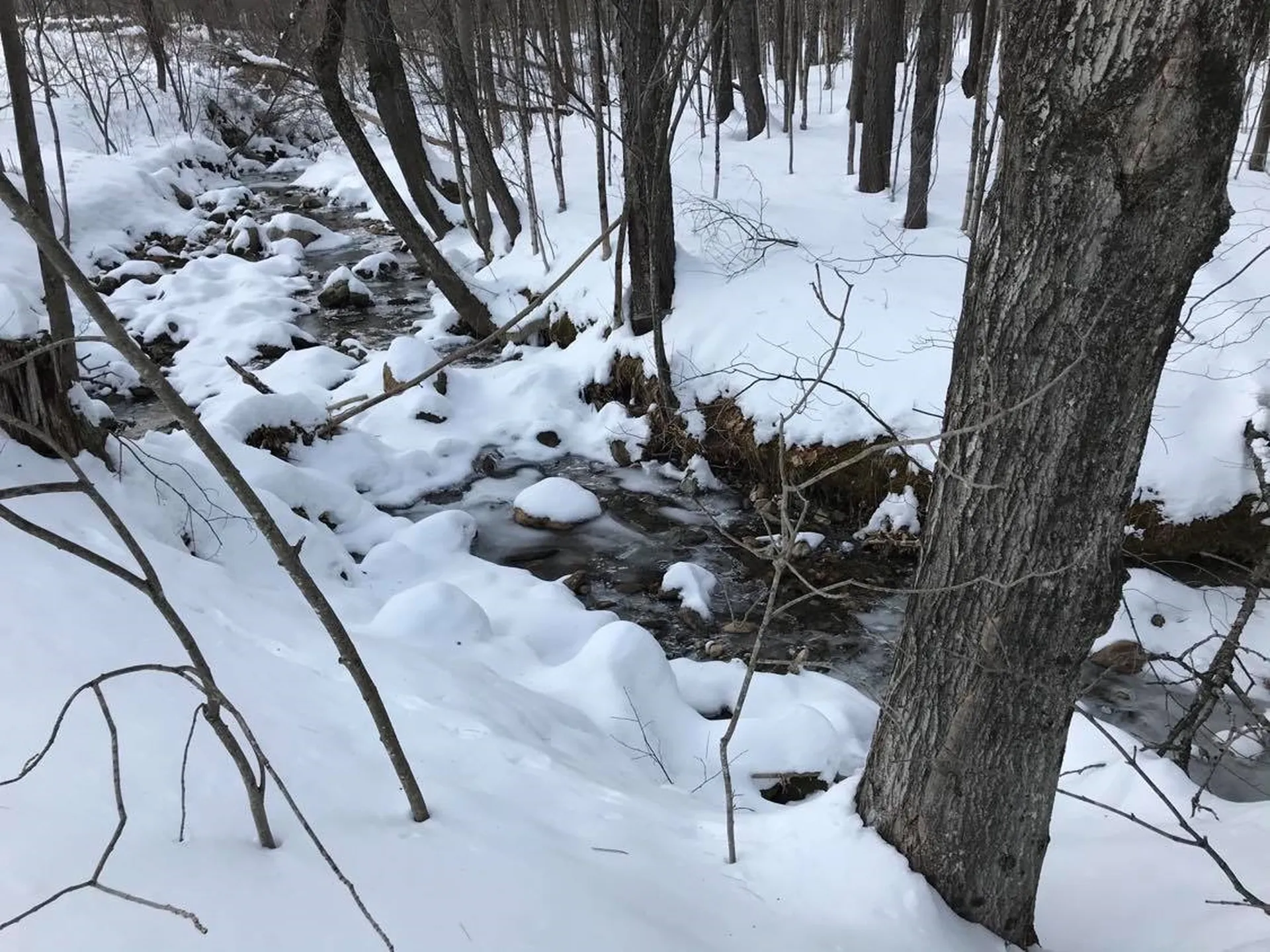 3332 Houghtonville Road Grafton VT 05146