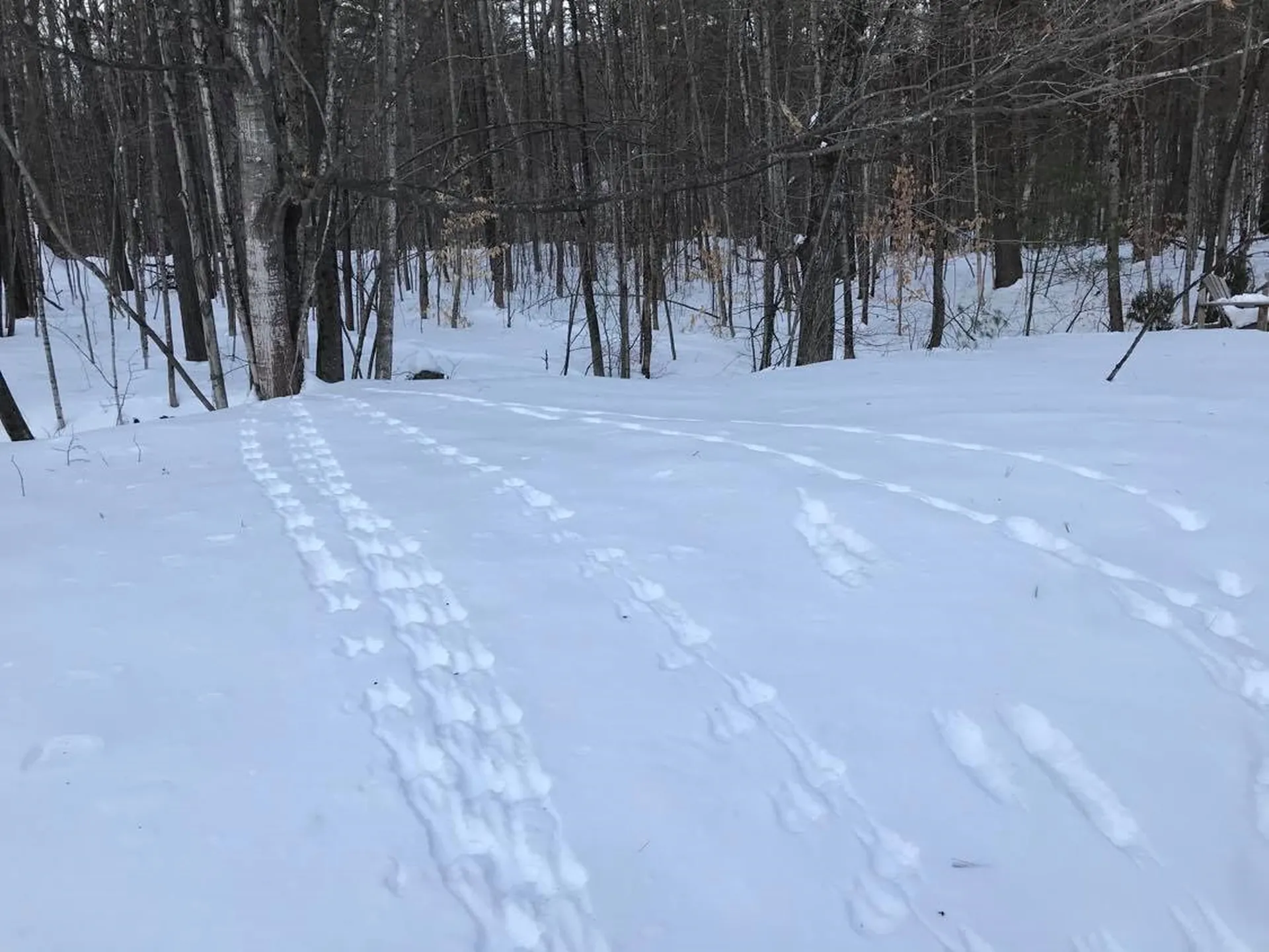 3332 Houghtonville Road Grafton VT 05146