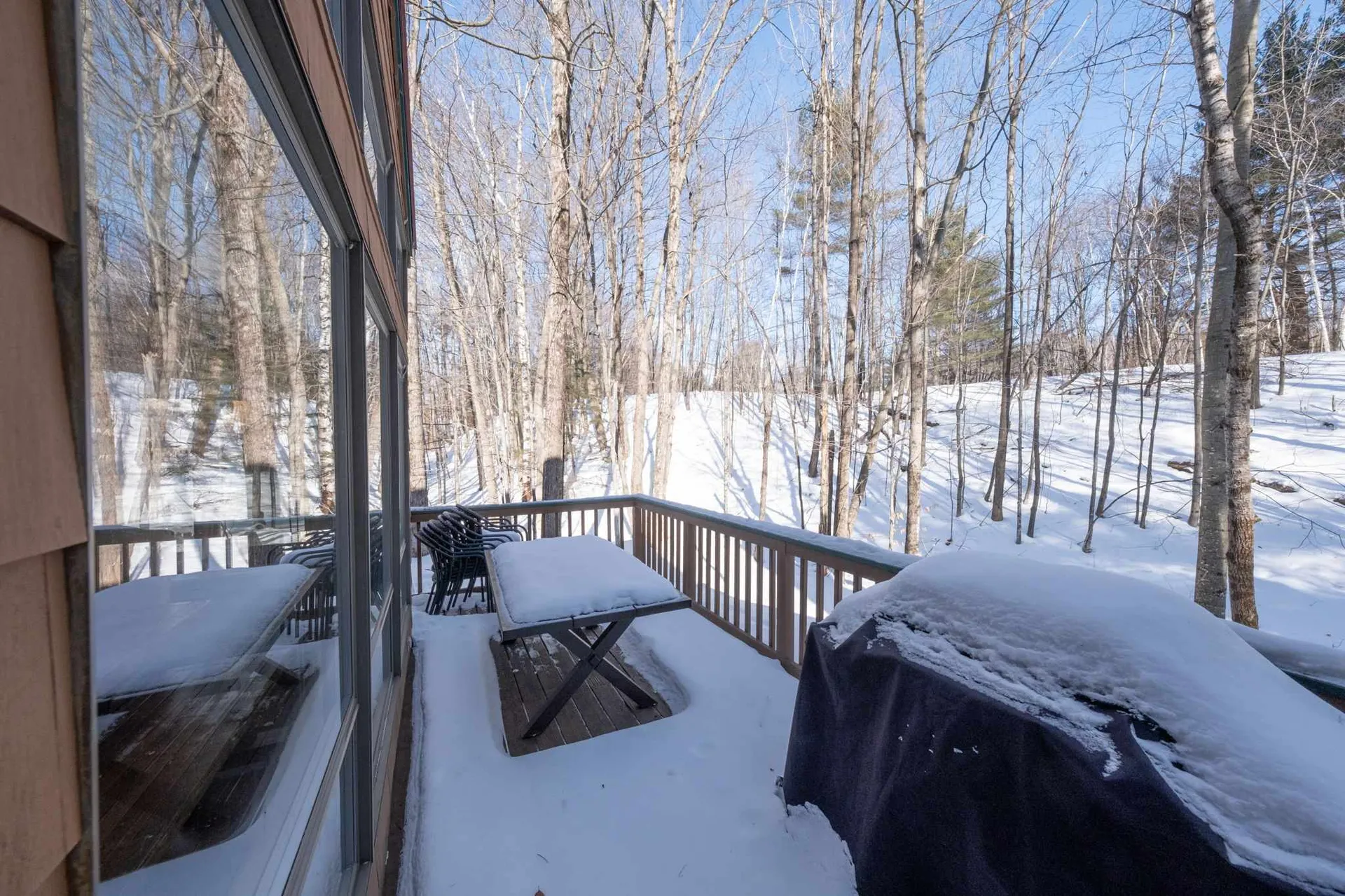 16 Riverfront Drive Woodstock NH 03262