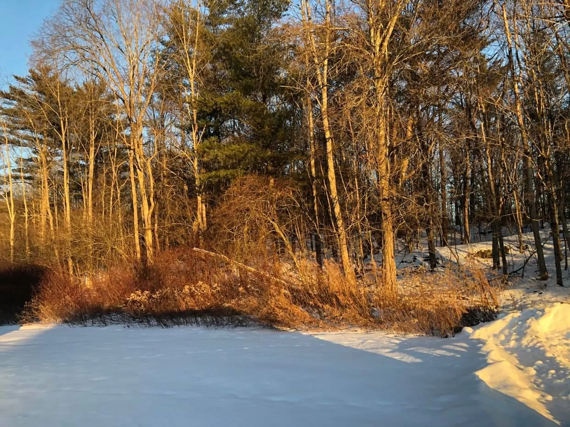 81 Cramton Drive Castleton VT 05735