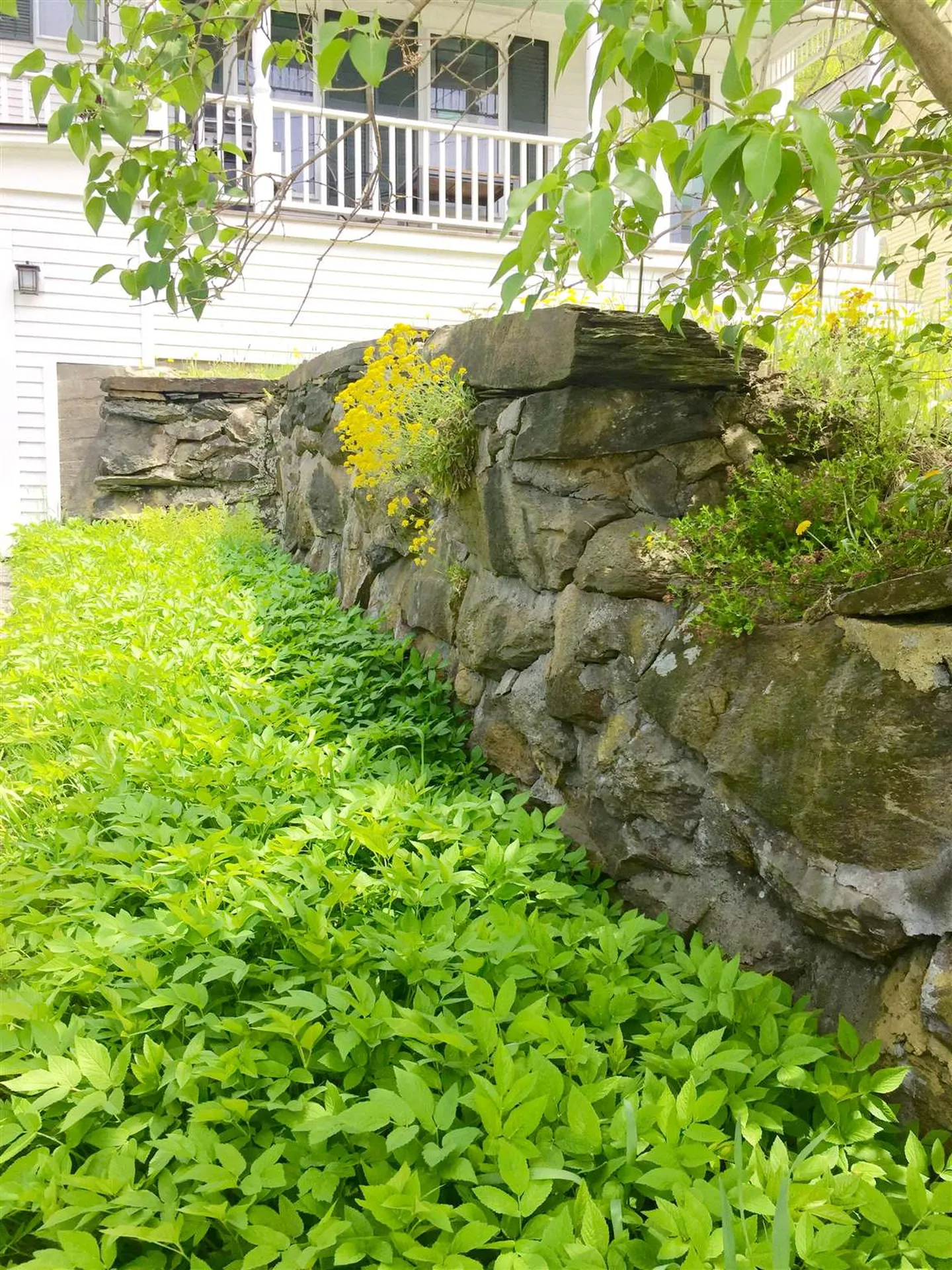 2 High Street Woodstock VT 05091