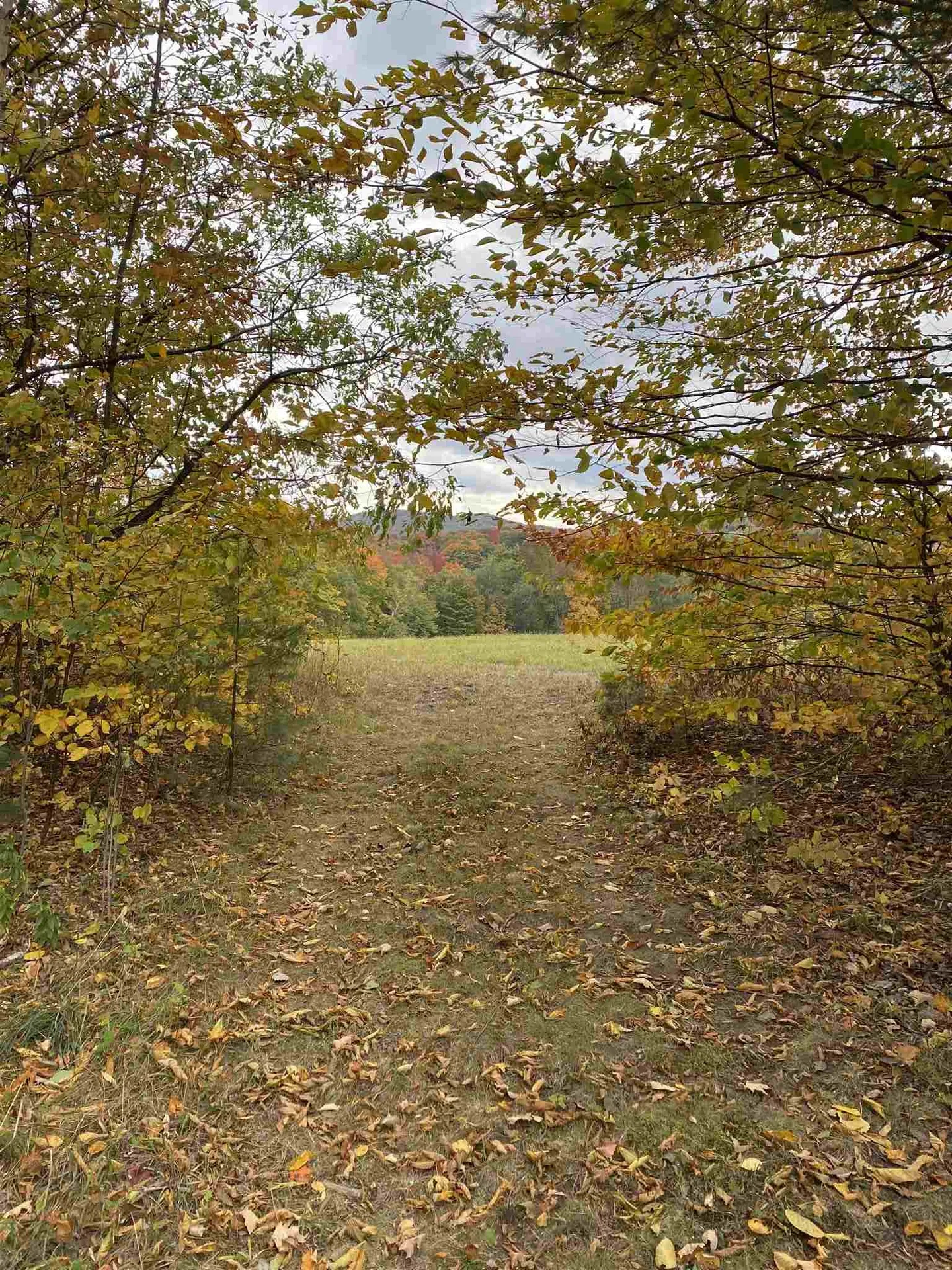 00 East Barnard Road Barnard VT 05031