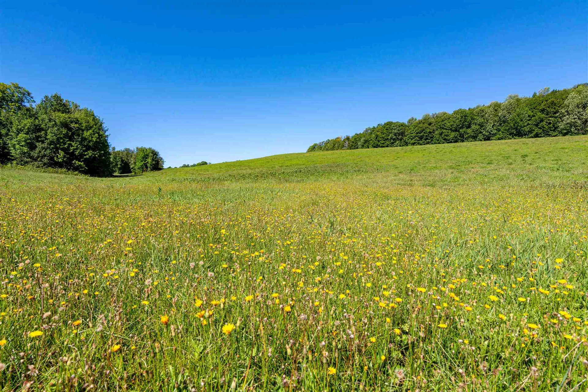 00 East Barnard Road Barnard VT 05031