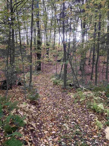 00 East Barnard Road Barnard VT 05031