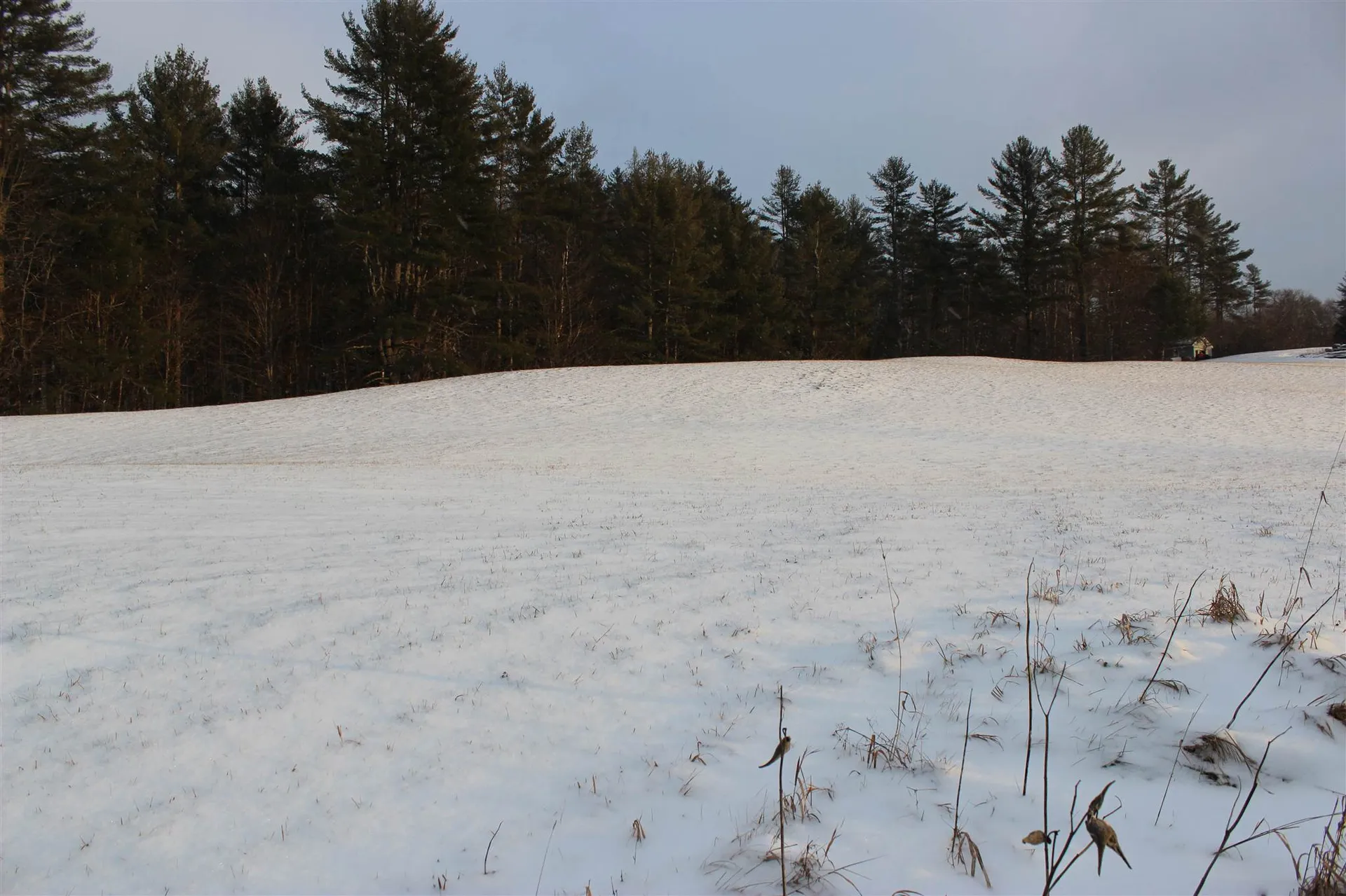 00 Minard Hill Road Groton VT 05046