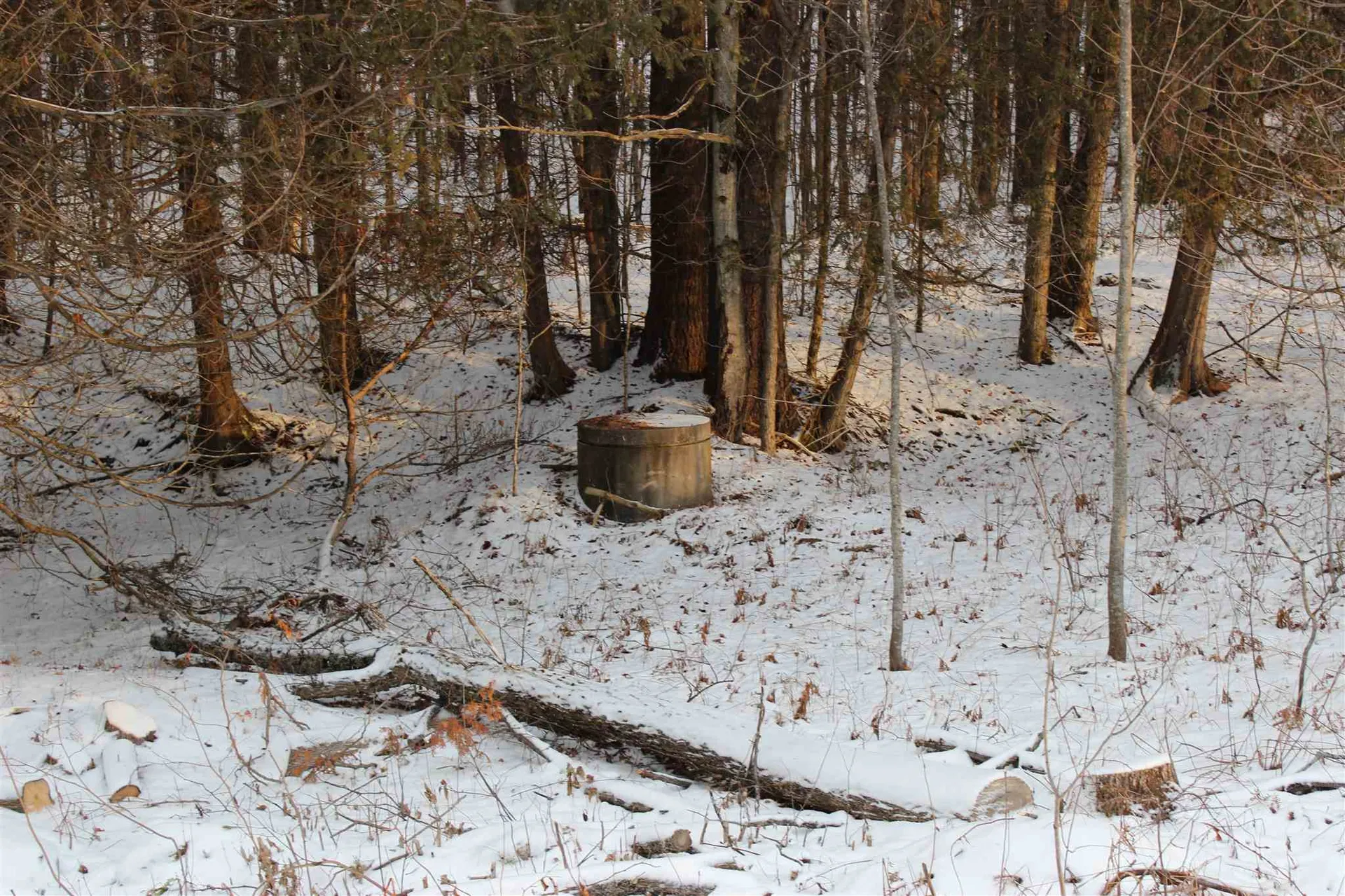 00 Minard Hill Road Groton VT 05046