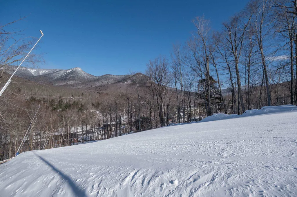 55 Ramshorn Drive Lincoln NH 03251