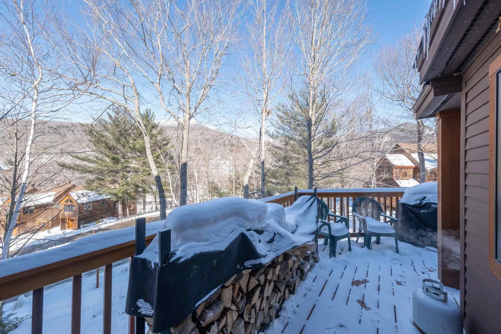 55 Ramshorn Drive Lincoln NH 03251