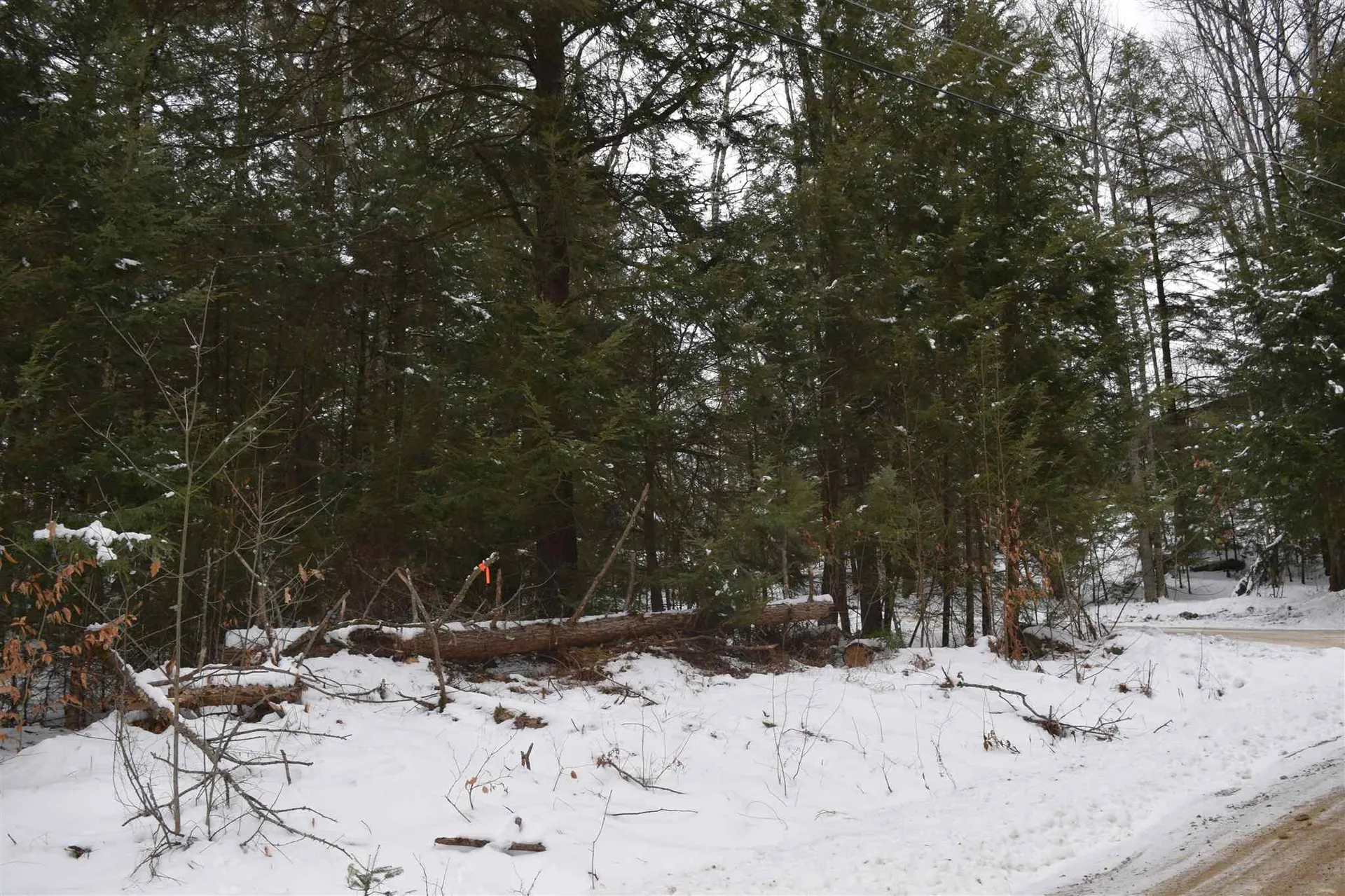 Lot 82 Carr Road Haverhill NH 03765