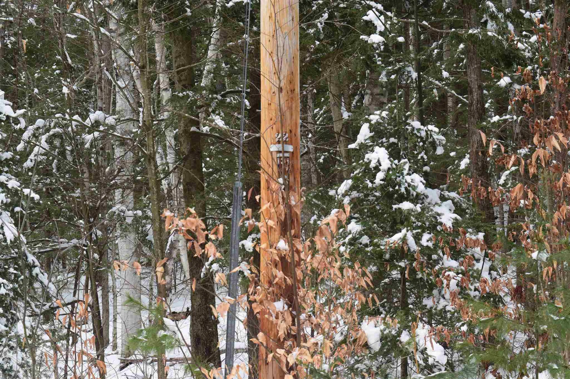 Lot 82 Carr Road Haverhill NH 03765