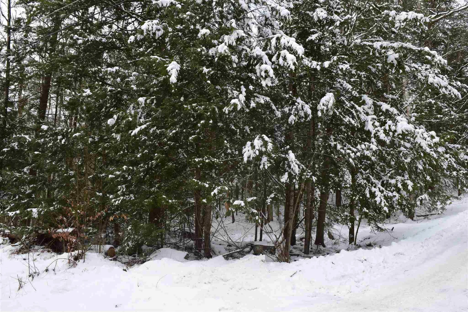 Lot 82 Carr Road Haverhill NH 03765