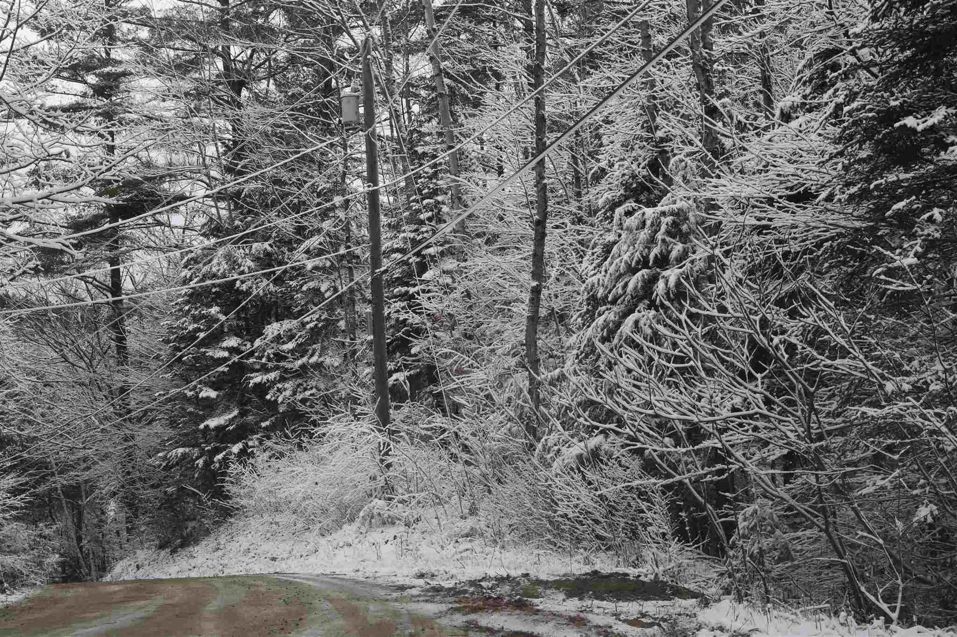 Lot 324 Pawtuckaway Road Haverhill NH 03765