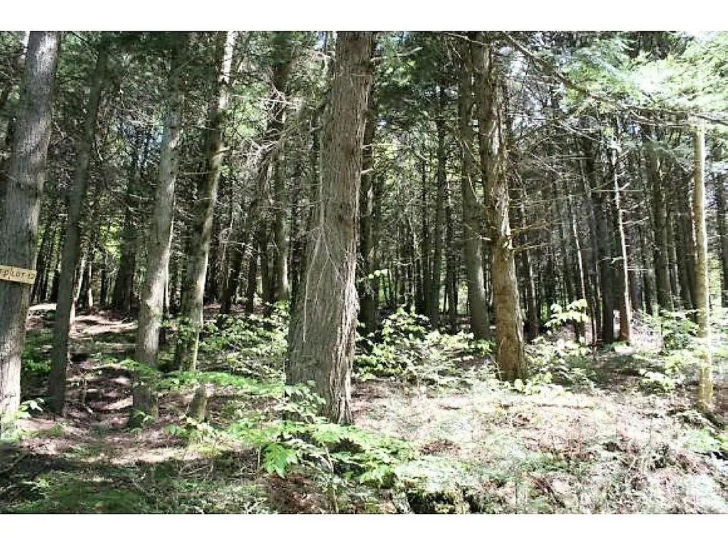 Ring Road Montgomery VT 05471