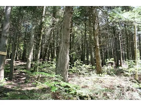 Ring Road Montgomery VT 05471