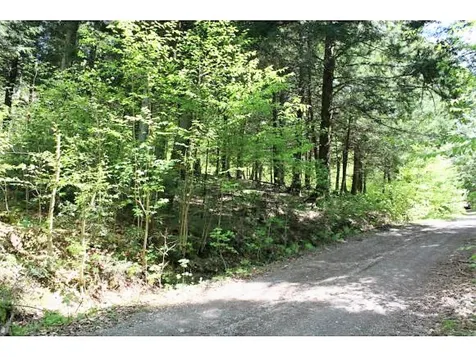 Ring Road Montgomery VT 05471