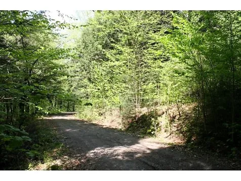 Ring Road Montgomery VT 05471