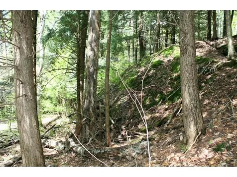 Ring Road Montgomery VT 05471