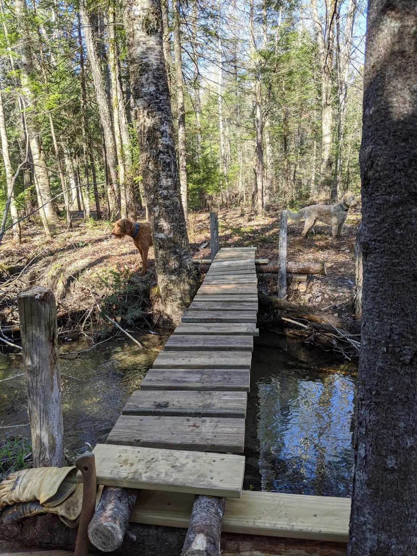 71 Goose Pond Road Hanover NH 03755