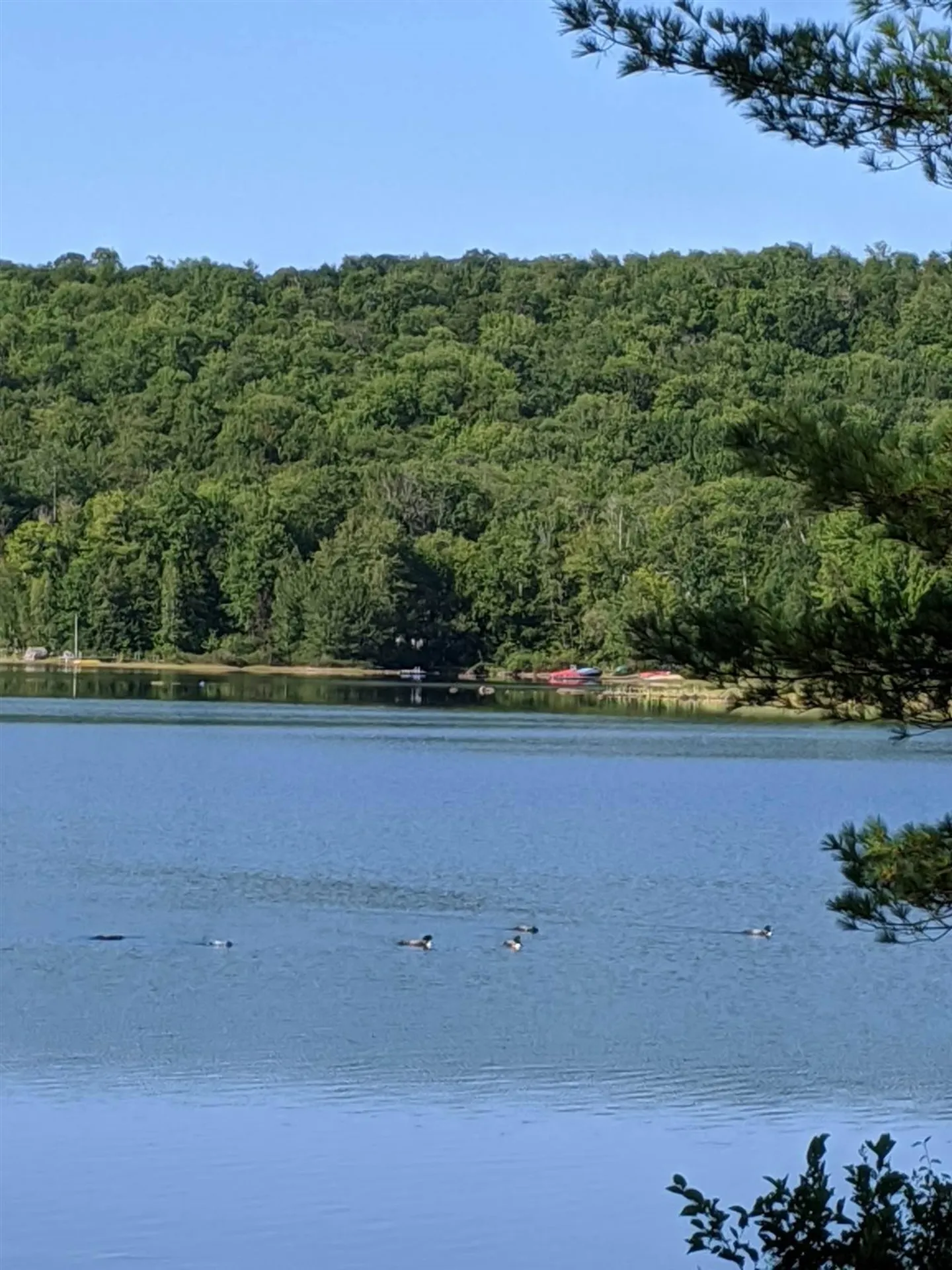 71 Goose Pond Road Hanover NH 03755