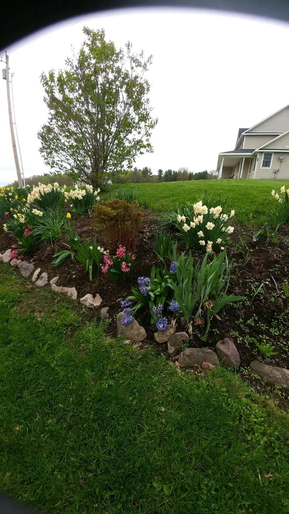 3126 Weybridge Road Weybridge VT 05753