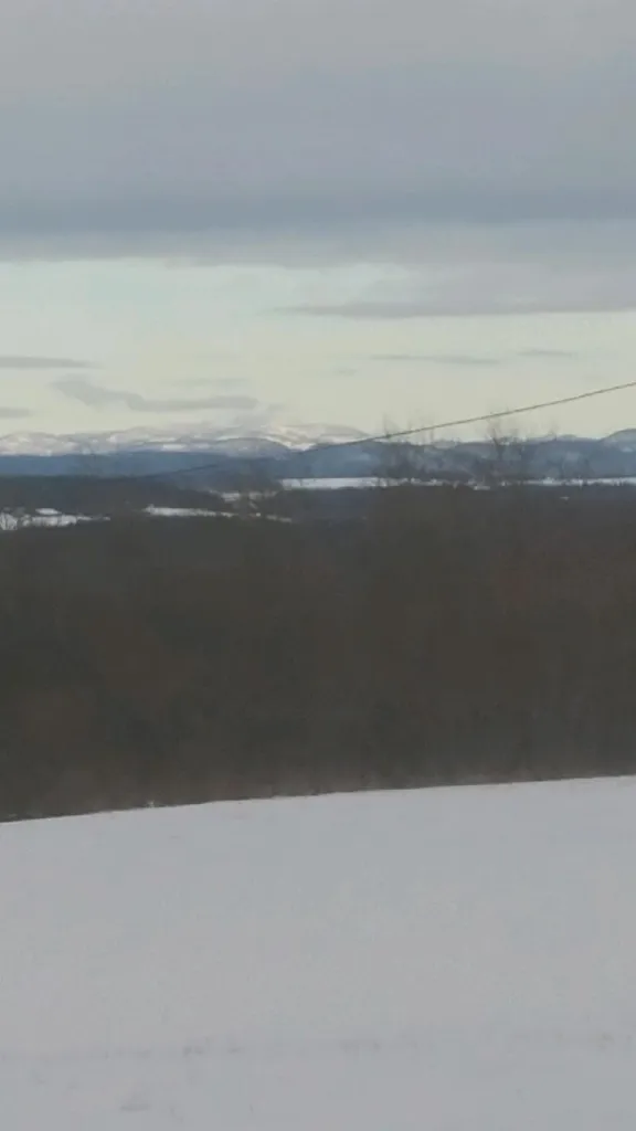 3126 Weybridge Road Weybridge VT 05753