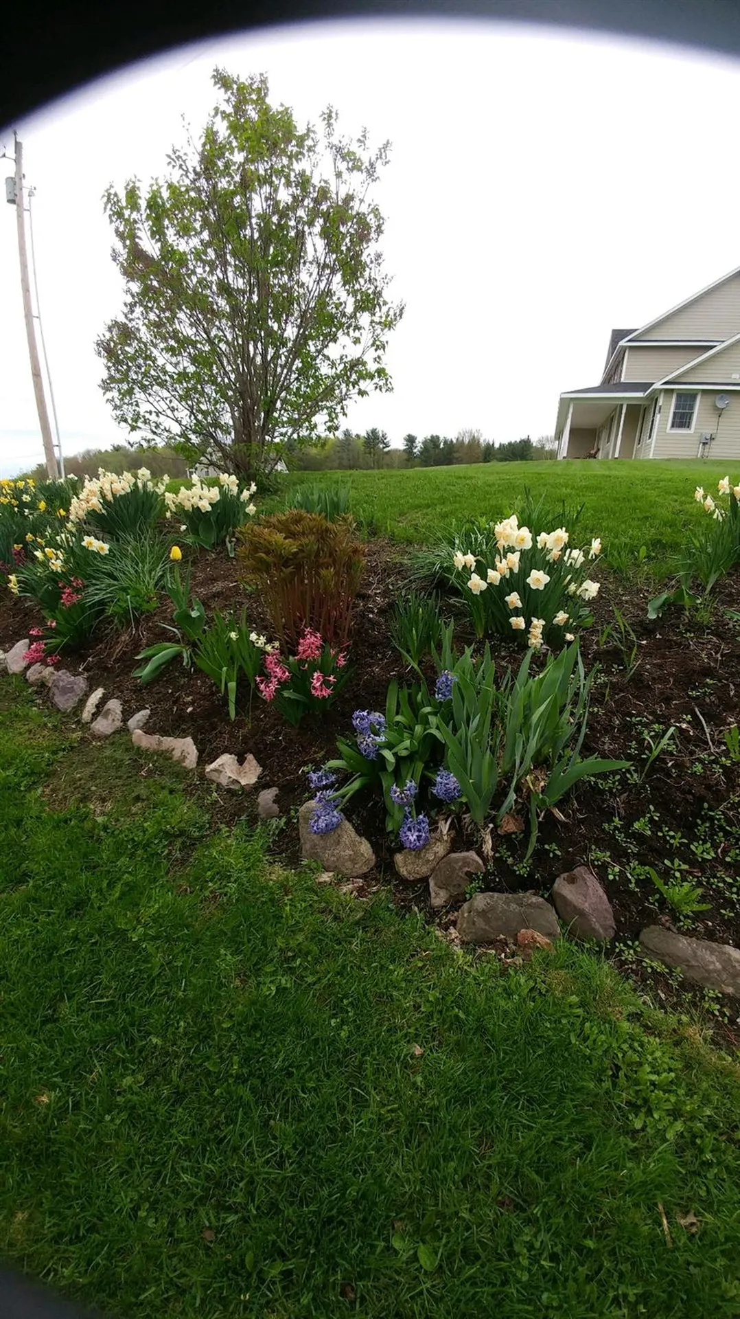 3126 Weybridge Road Weybridge VT 05753