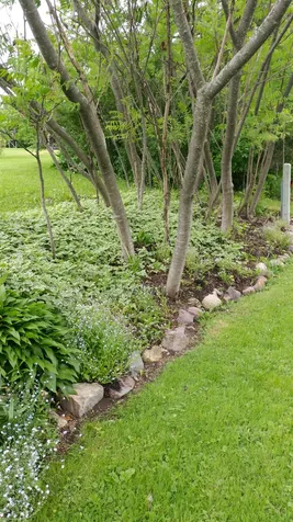 3126 Weybridge Road Weybridge VT 05753