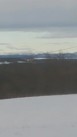 3126 Weybridge Road Weybridge VT 05753