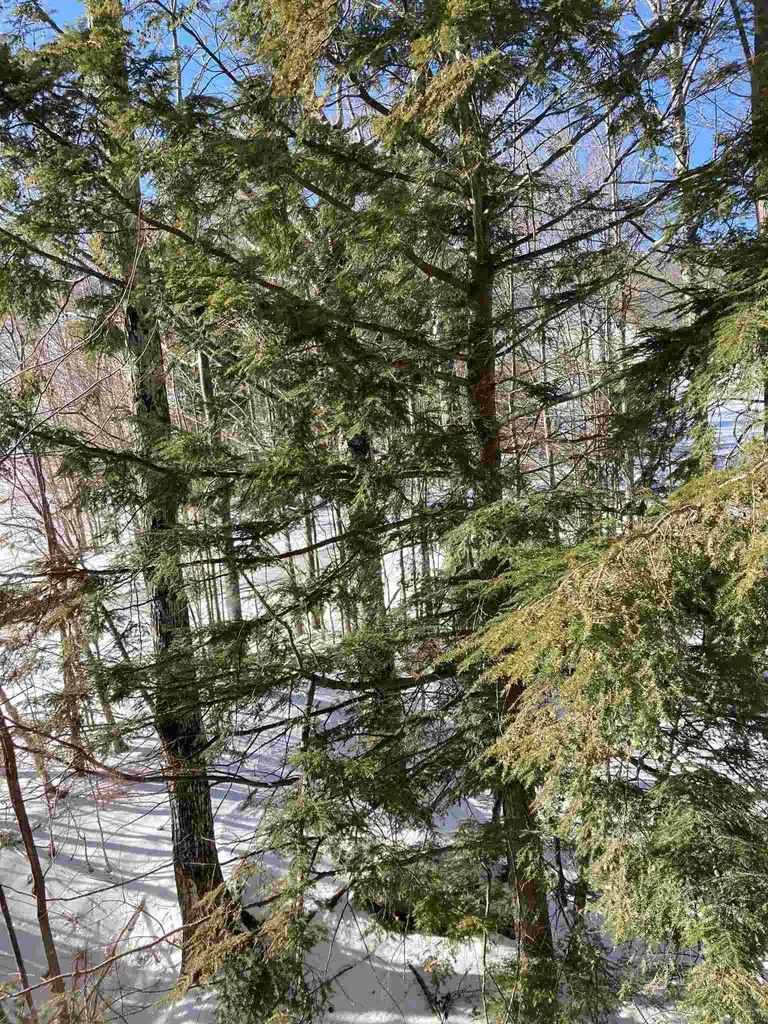 103/105 2, 89 Grand Summit Way Dover VT 05356