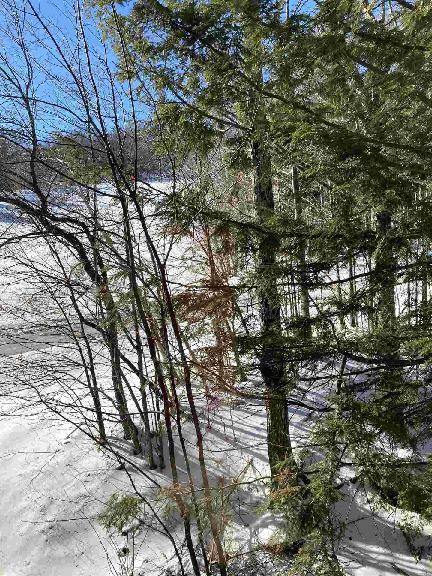103/105 2, 89 Grand Summit Way Dover VT 05356