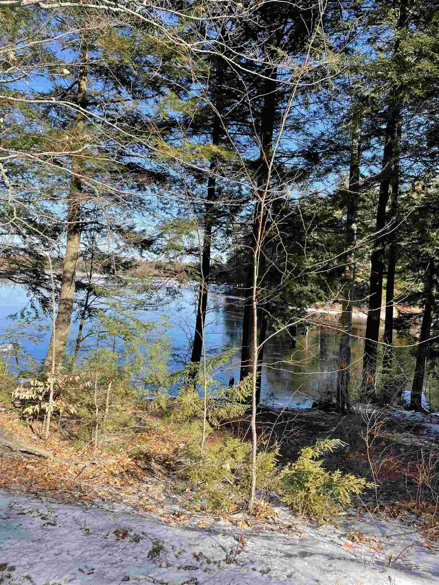 142 Northeast Pond Road Milton NH 03851