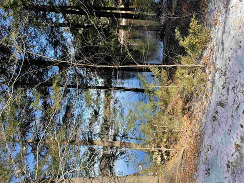 142 Northeast Pond Road Milton NH 03851