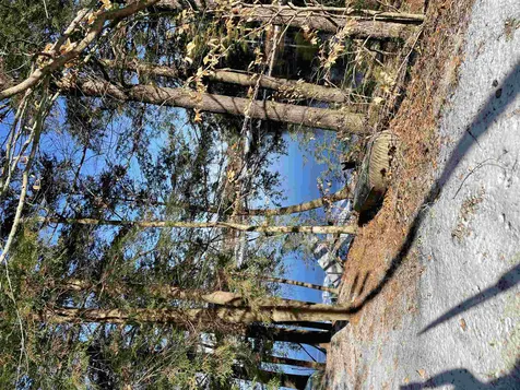 142 Northeast Pond Road Milton NH 03851