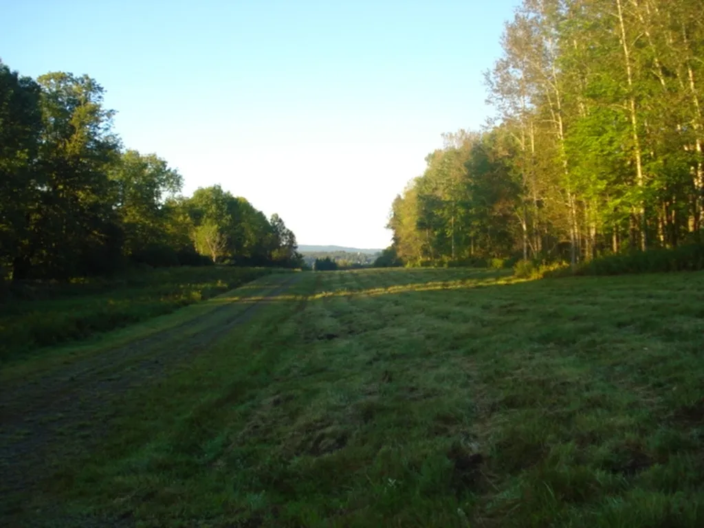 0 Nichols Road Barre Town VT 05641