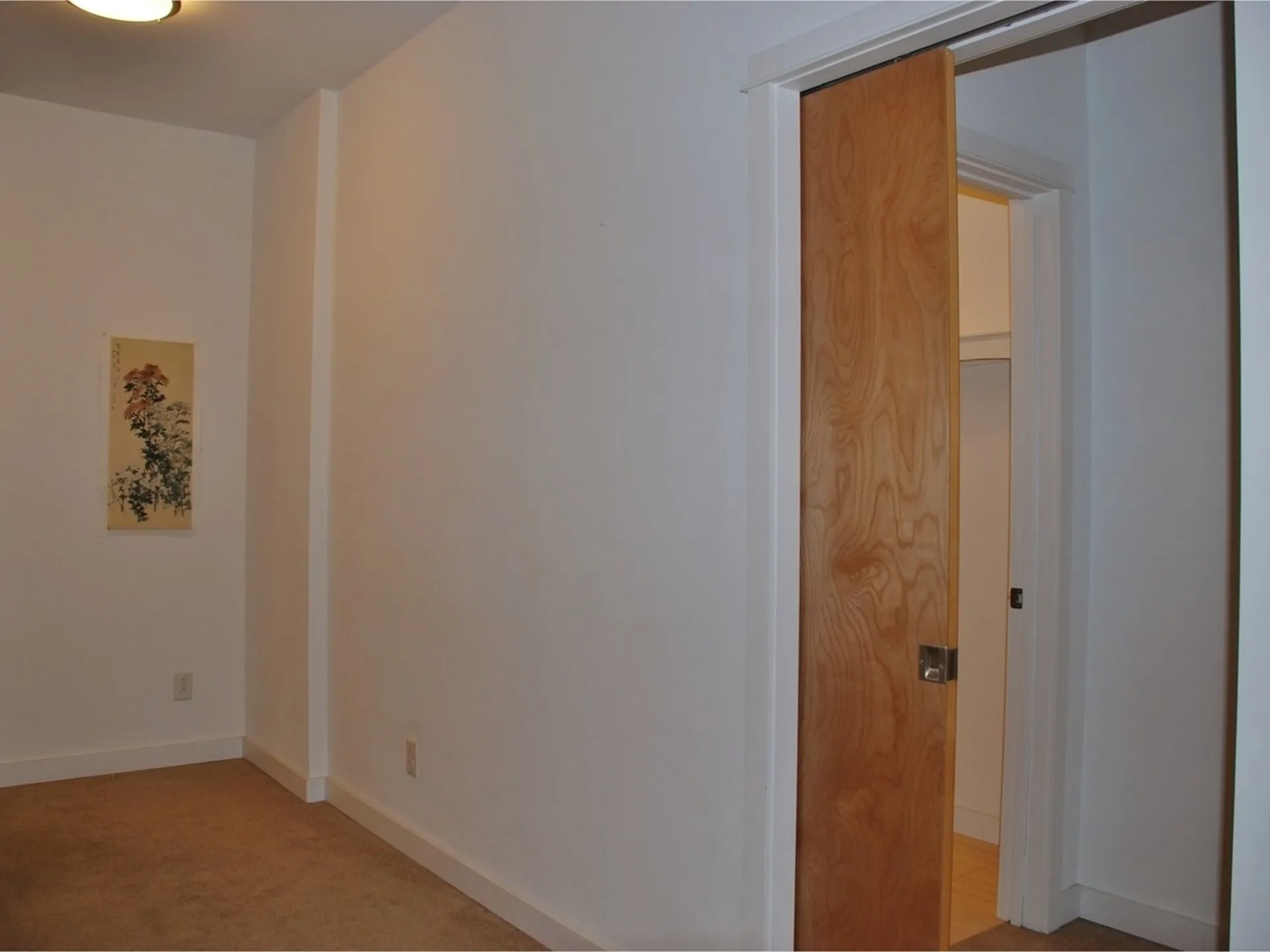193 St. Paul Street Burlington VT 05401