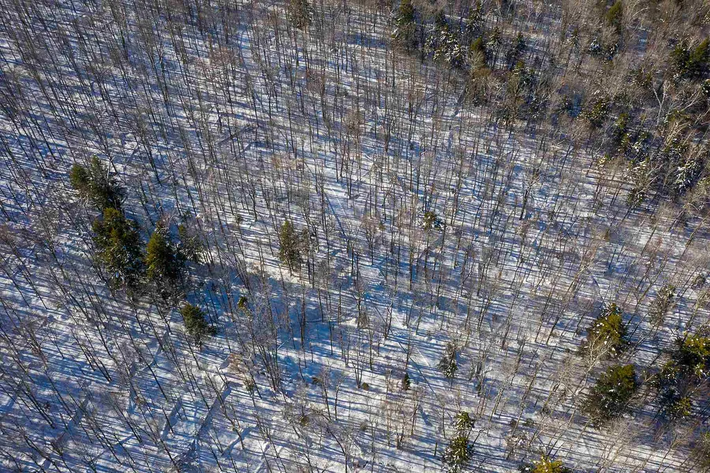 00 Curtis Hollow Road Woodstock VT 05091