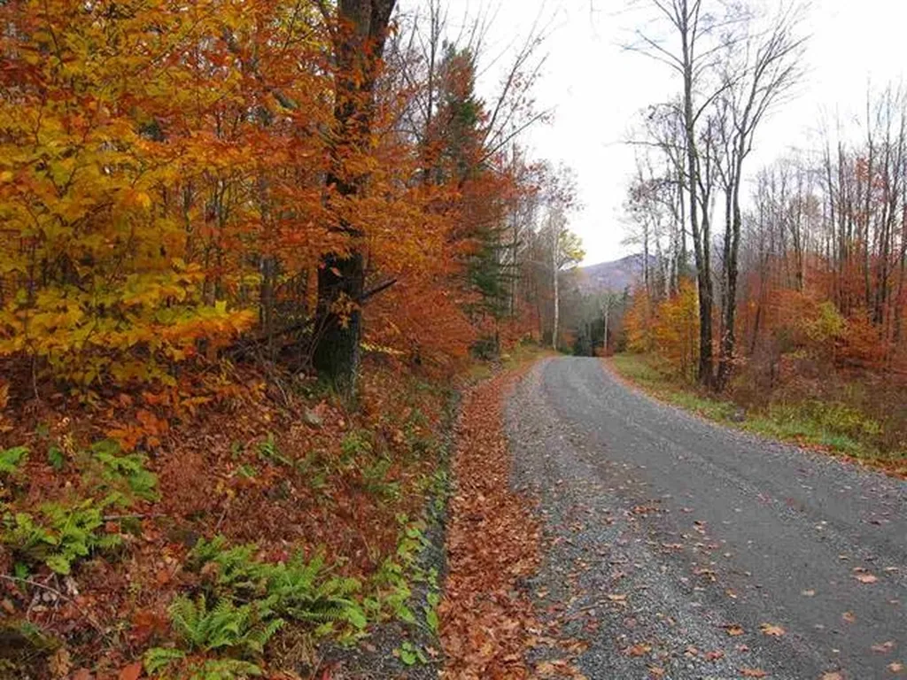00 Curtis Hollow Road Woodstock VT 05091