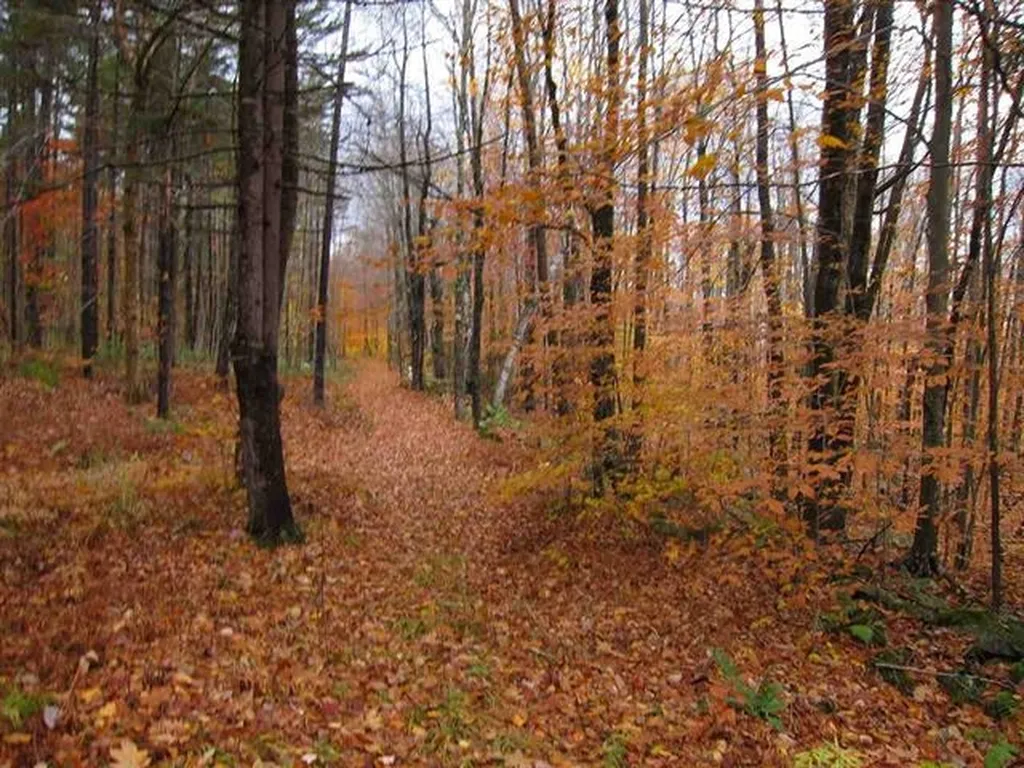00 Curtis Hollow Road Woodstock VT 05091
