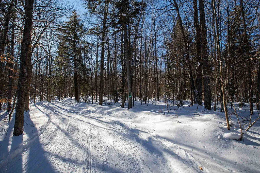 00 Curtis Hollow Road Woodstock VT 05091