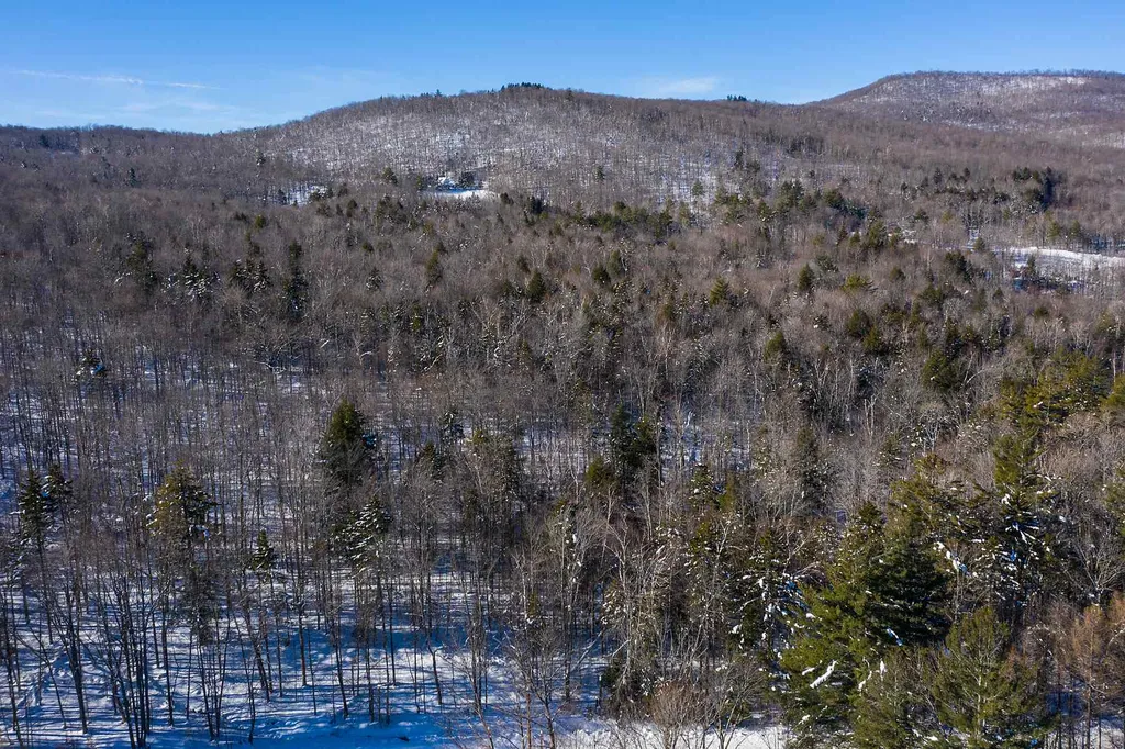 00 Curtis Hollow Road Woodstock VT 05091