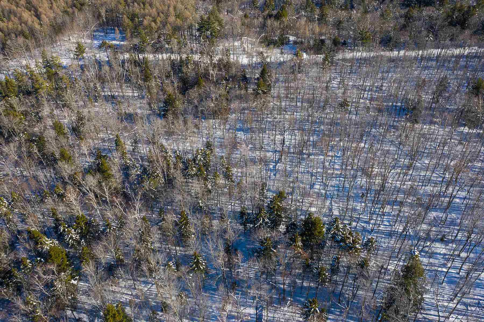 00 Curtis Hollow Road Woodstock VT 05091