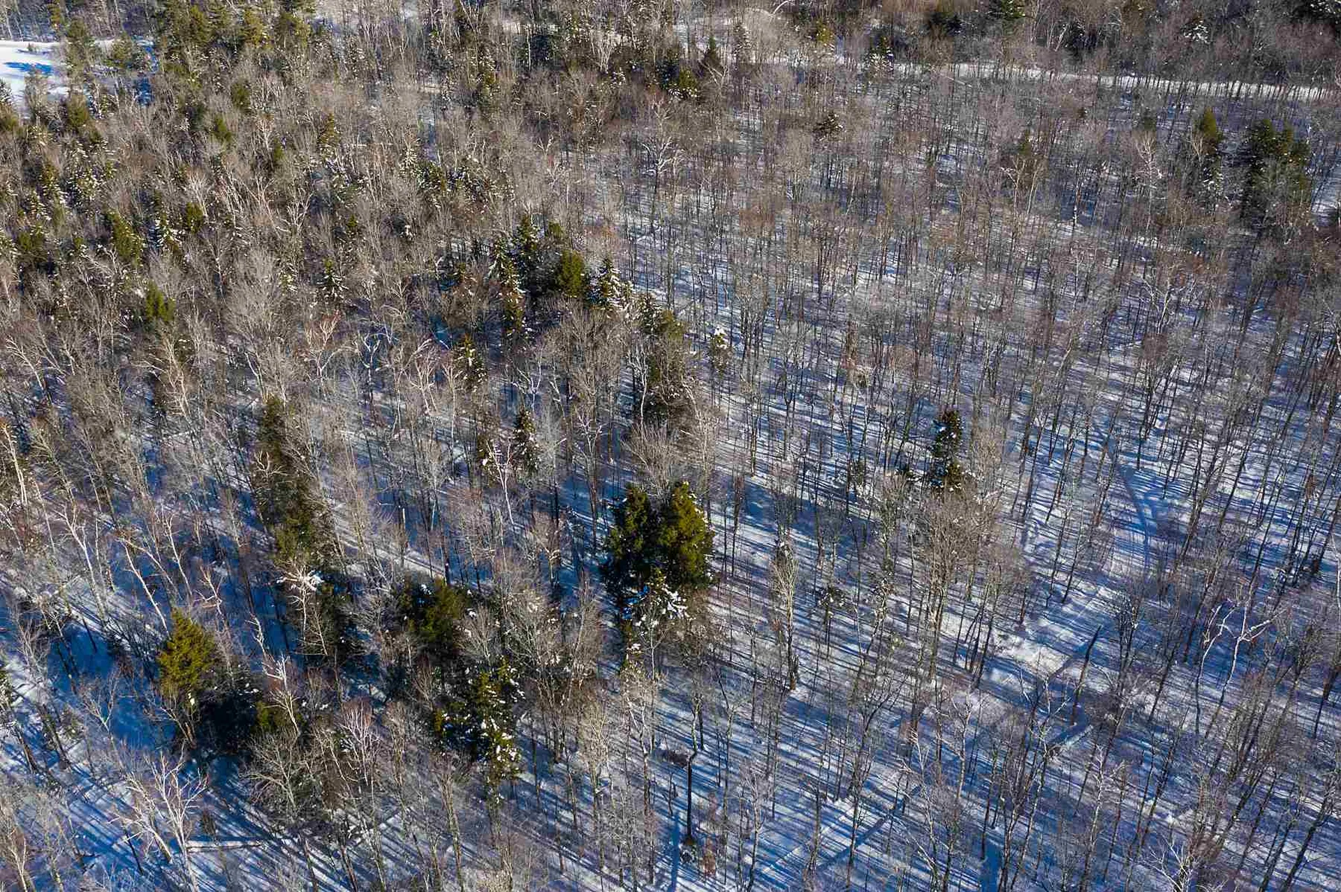 00 Curtis Hollow Road Woodstock VT 05091