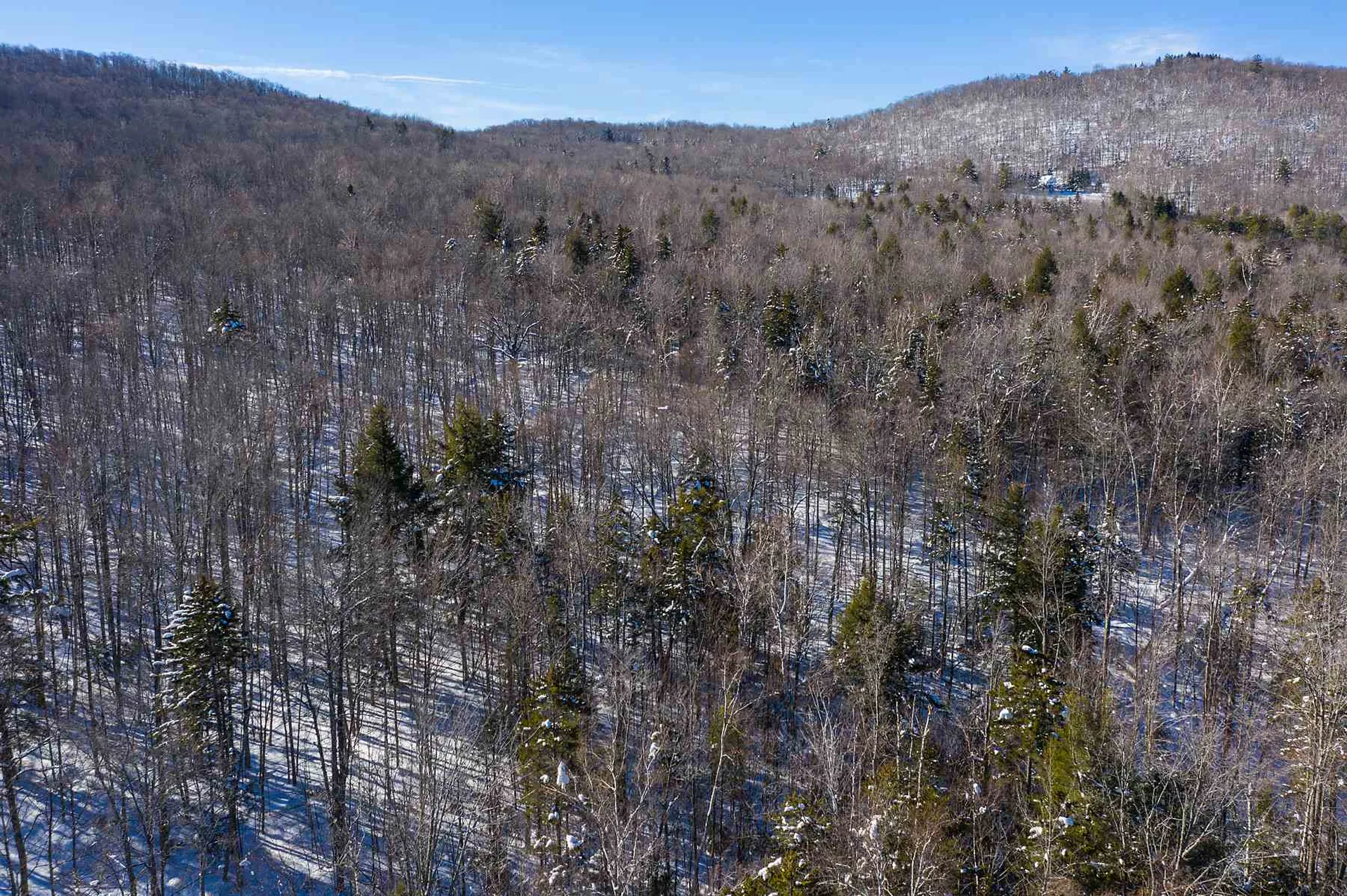 00 Curtis Hollow Road Woodstock VT 05091