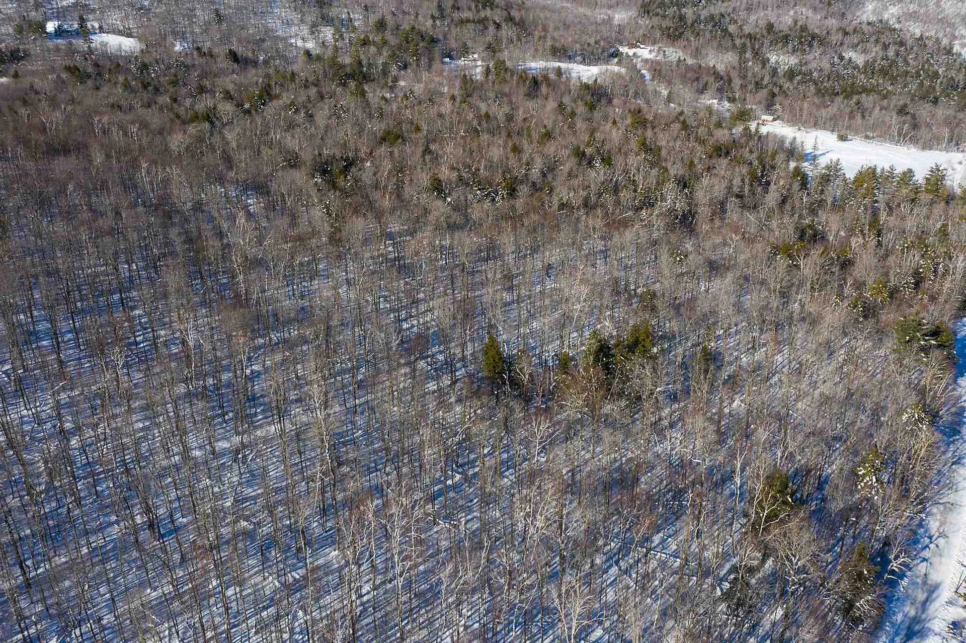 00 Curtis Hollow Road Woodstock VT 05091