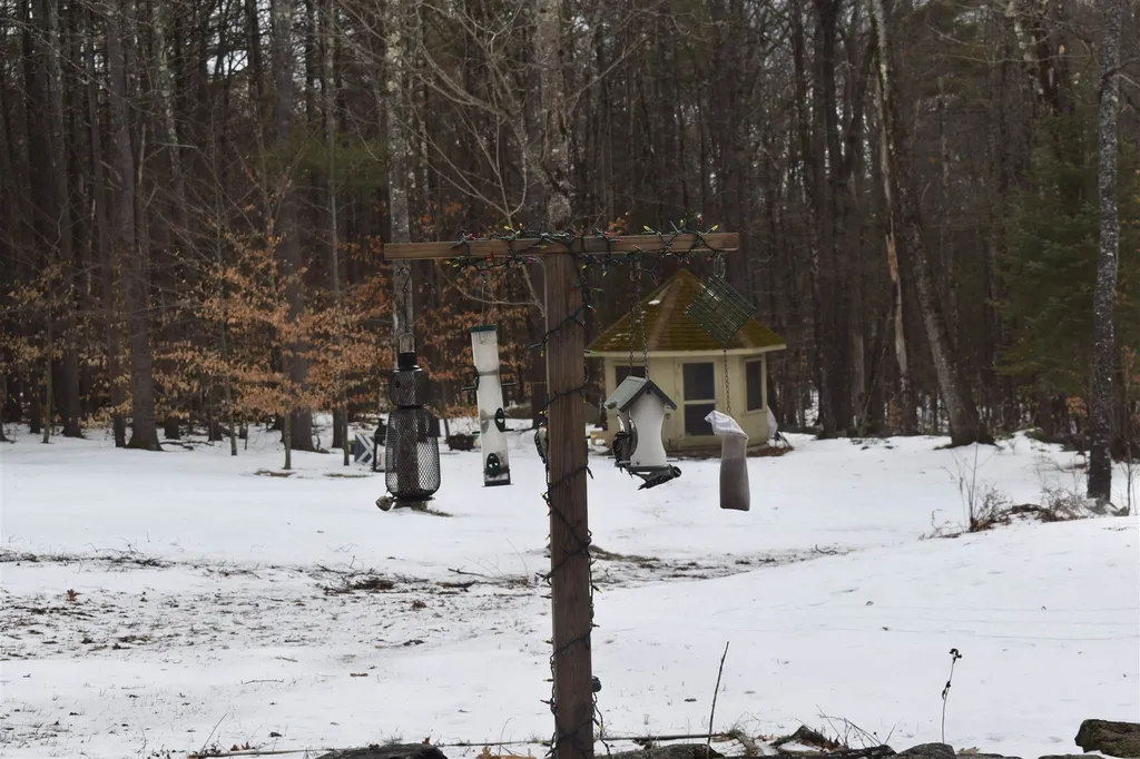 585 Kearsarge Mountain Road Warner NH 03278