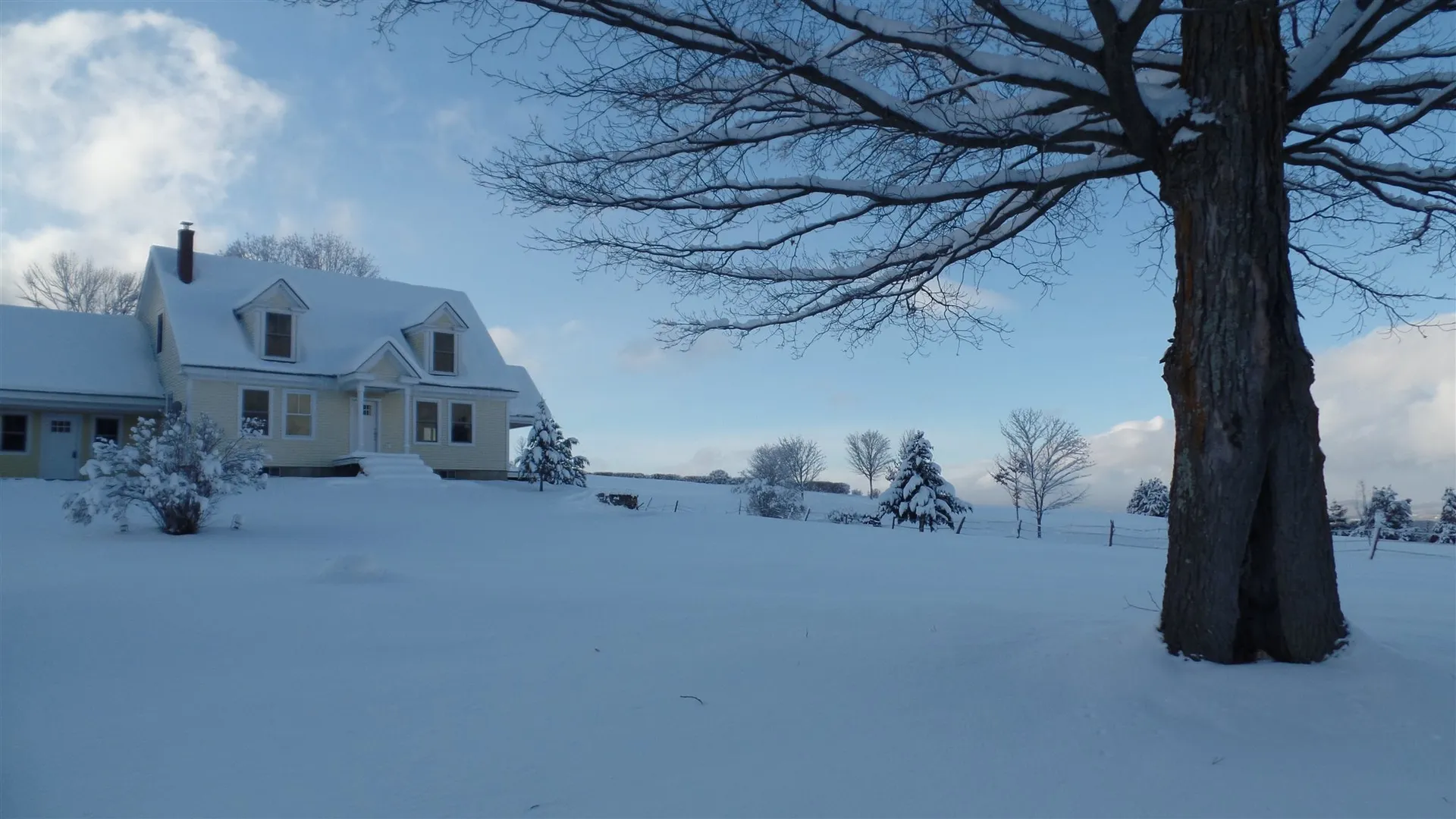 246 Phelps Road Barre Town VT 05641