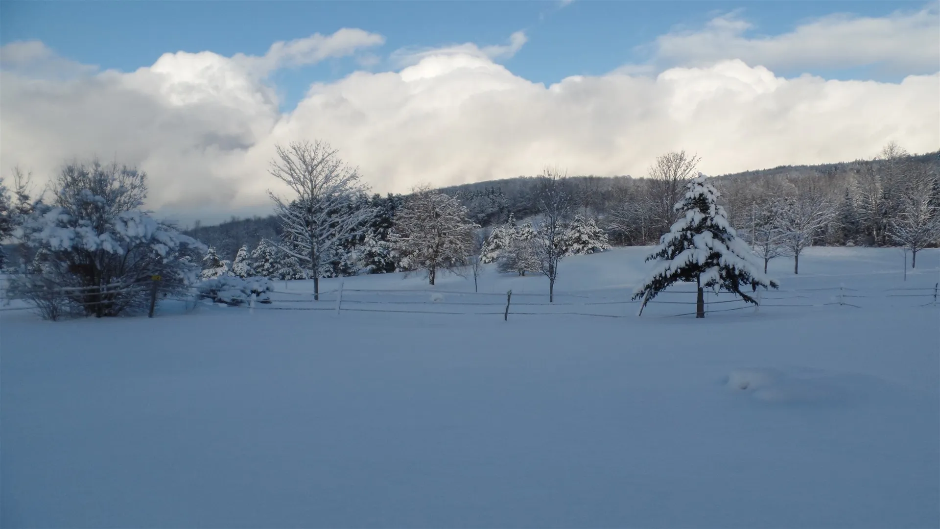 246 Phelps Road Barre Town VT 05641