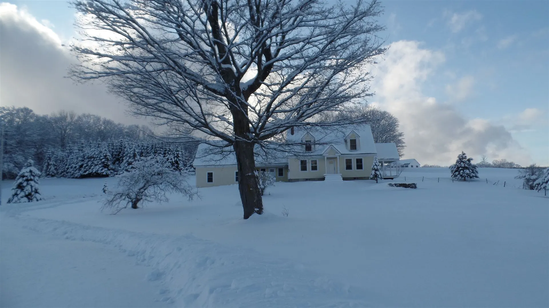 246 Phelps Road Barre Town VT 05641